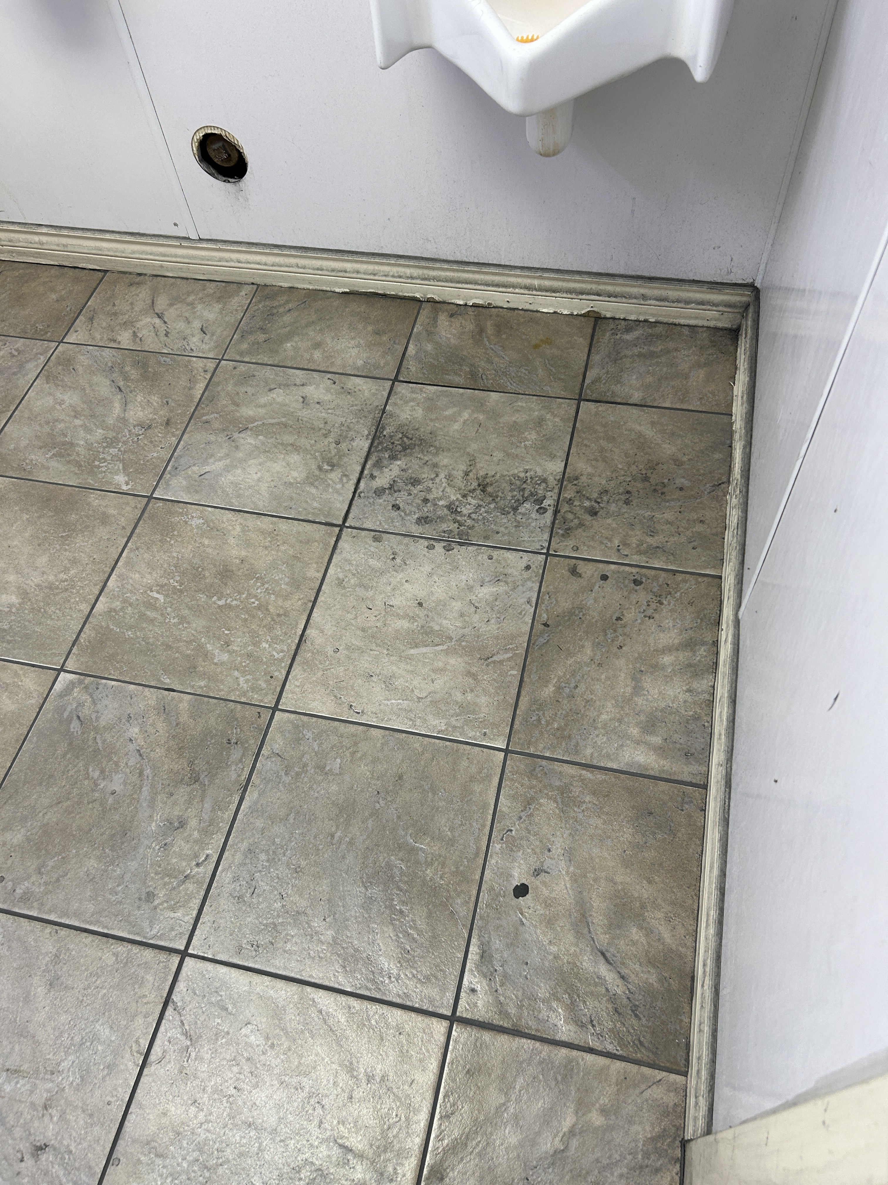 Gallery image 9 - Recent cleaning work