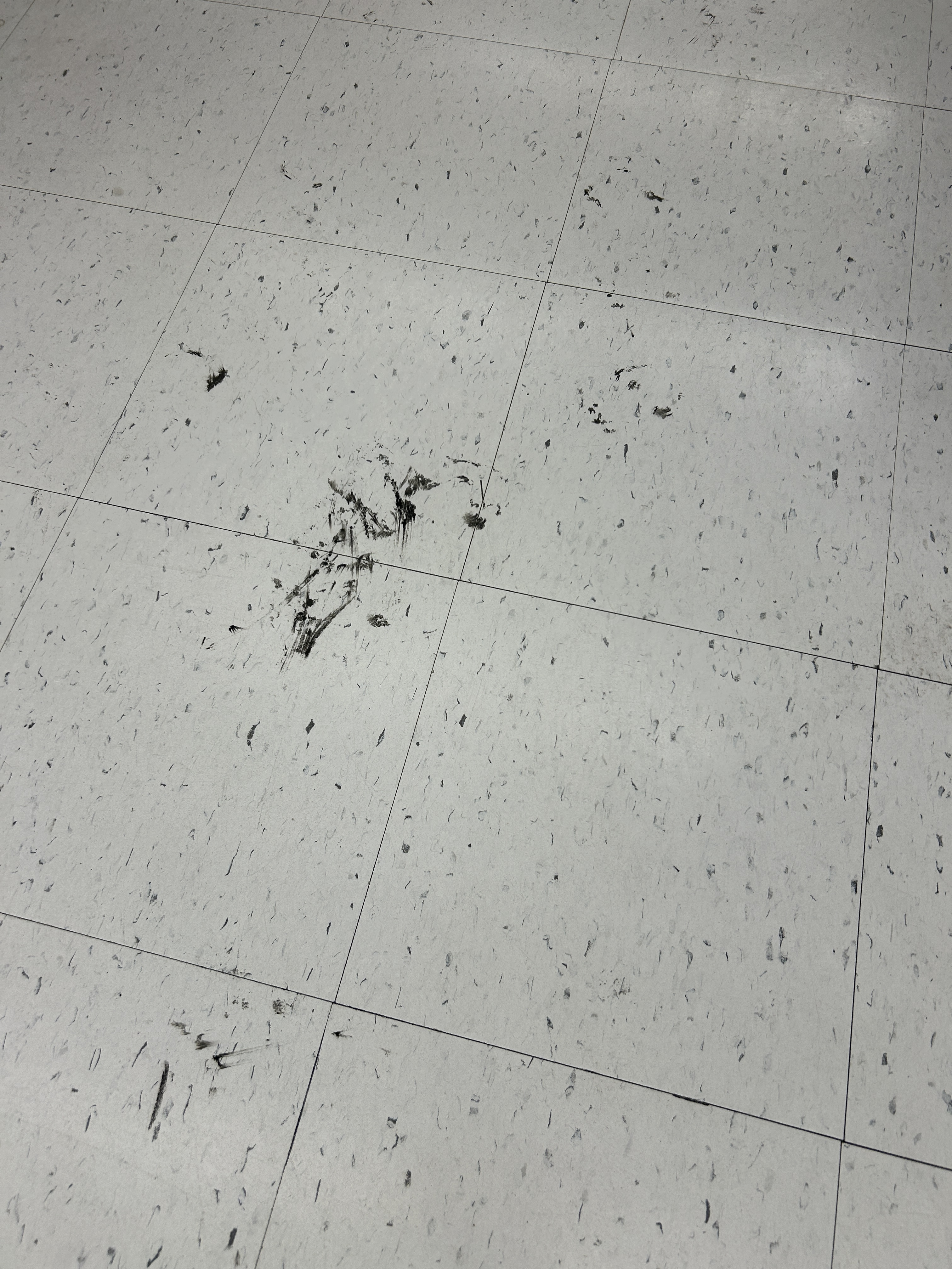 Gallery image 14 - Recent cleaning work