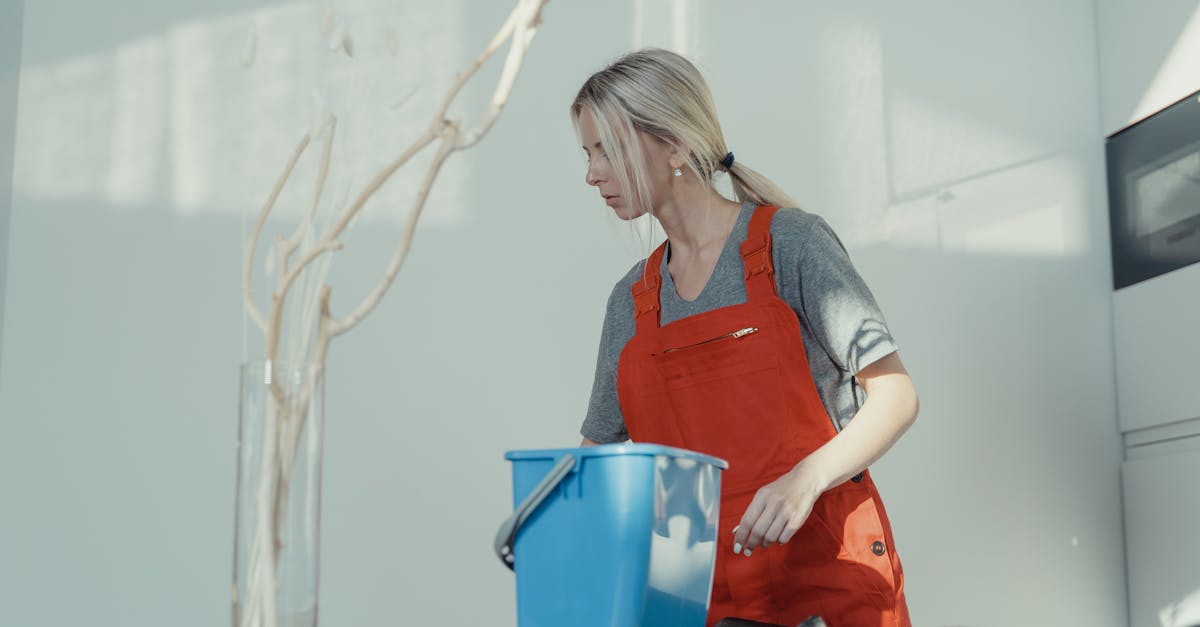 Professional cleaner in uniform cleaning indoors